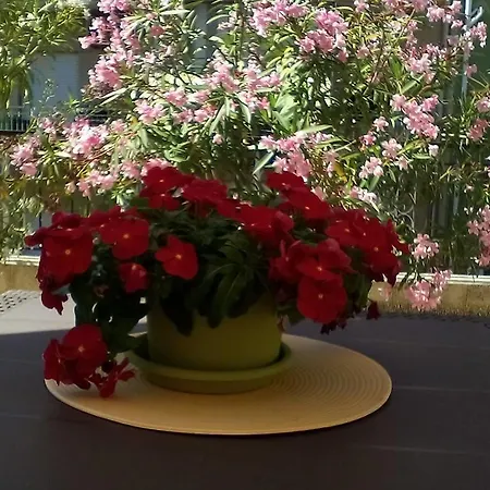 Il Terrazzo Di Oleandri Apartment