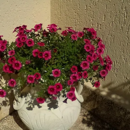 Appartement Il Terrazzo Di Oleandri *